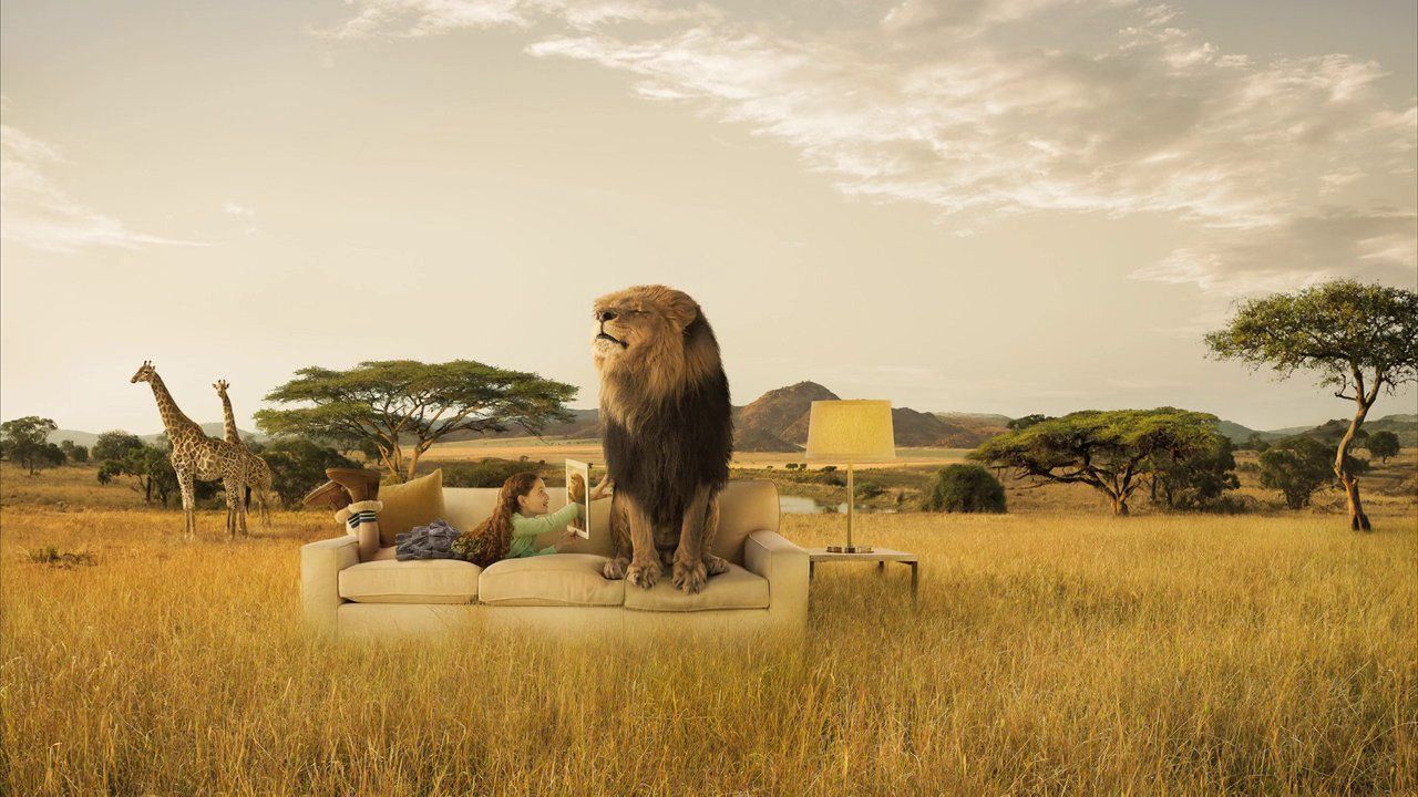 Global Advertising Photography